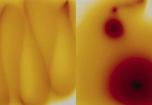 Lade das Bild in den Galerie-Viewer, Foxifre - Marta Djourina