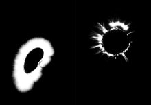 Lade das Bild in den Galerie-Viewer, Foxifre - Marta Djourina