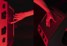 Lade das Bild in den Galerie-Viewer, Foxifre - Marta Djourina