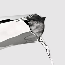 Lade das Bild in den Galerie-Viewer, Frau Kröger Karaffe Silber by Christian Metzner