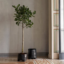 Lade das Bild in den Galerie-Viewer, Esca Pot - Medium