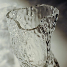 Lade das Bild in den Galerie-Viewer, Ostrea Glass Vase - clear
