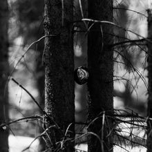 Lade das Bild in den Galerie-Viewer, Skulpturale Porzellan-Kugeln im 2er-Set – inspiriert von Flusssteinen. Zeitlose, silberne Eleganz für Baum, Kranz oder festliche Tischdekoration.
