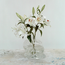 Lade das Bild in den Galerie-Viewer, Handgefertigte Vase aus recyceltem Kunststoff von NIKO JUNE, organisch geschwungene Form, Lichtspiel und transparente Oberfläche
Handmade vase from recycled plastic by NIKO JUNE, sculptural curved shape with light-reflecting, translucent surface
